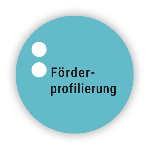 Förderprofilierung_Icon